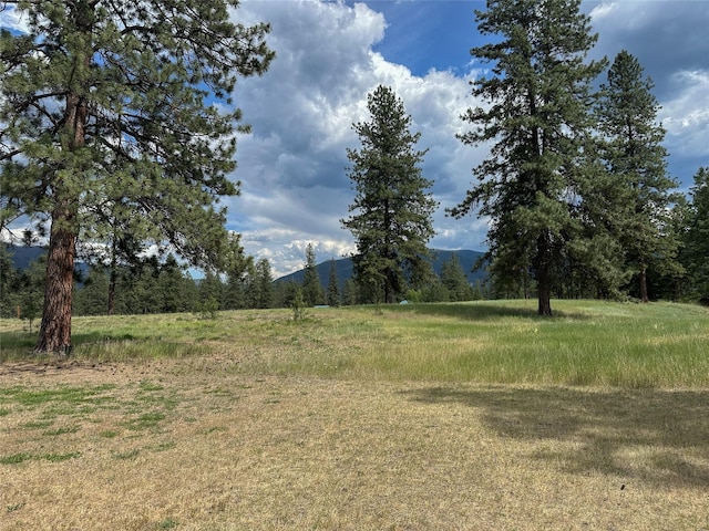86 Steamboat Way W, Thompson Falls, MT 59873 - view of yard with a mountain view and a view of rural / pastoral area