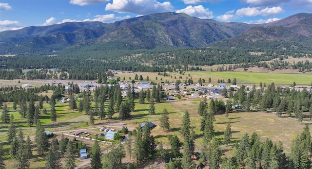86 Steamboat Way W, Thompson Falls, MT 59873 - view of mountain background featuring a forest
