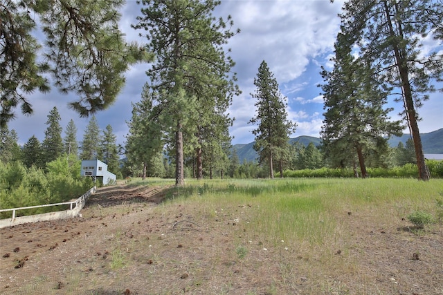 86 Steamboat Way W, Thompson Falls, MT 59873 - view of yard with a mountain view
