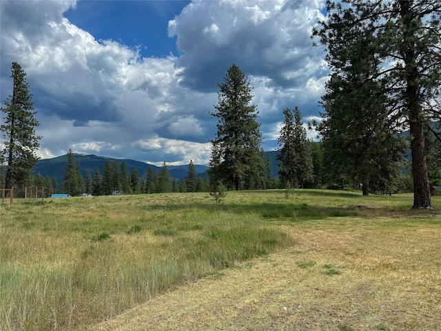 86 Steamboat Way W, Thompson Falls, MT 59873 - mountain view with rural landscape