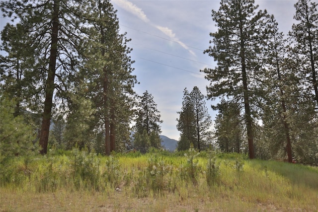 86 Steamboat Way W, Thompson Falls, MT 59873 - view of nature featuring a mountain backdrop