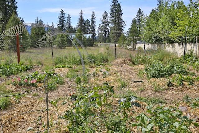 86 Steamboat Way W, Thompson Falls, MT 59873 - view of yard