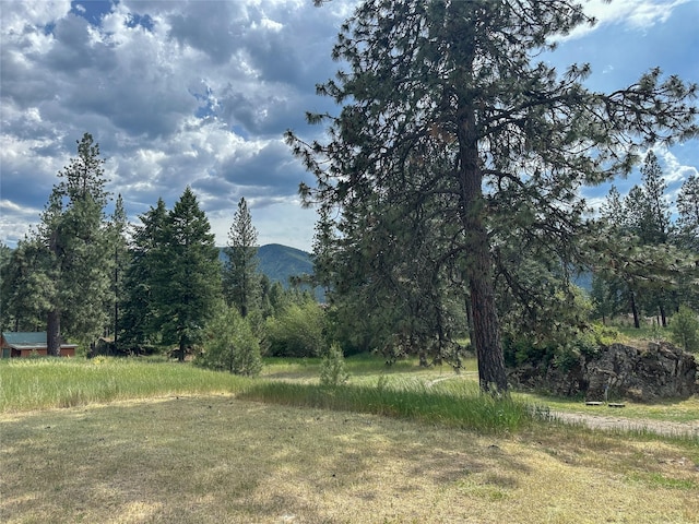 86 Steamboat Way W, Thompson Falls, MT 59873 - view of yard with a mountain view