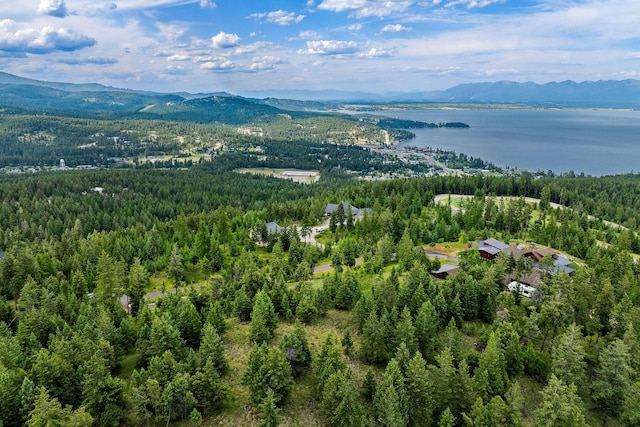 45 Osprey Trl, Lakeside, MT 59922