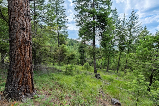 45 Osprey Trl, Lakeside, MT 59922