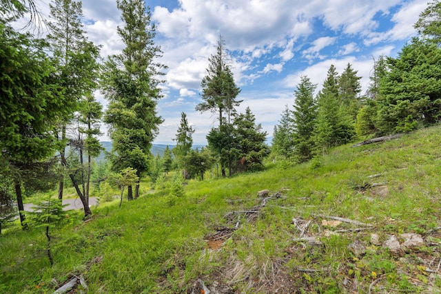 45 Osprey Trl, Lakeside, MT 59922