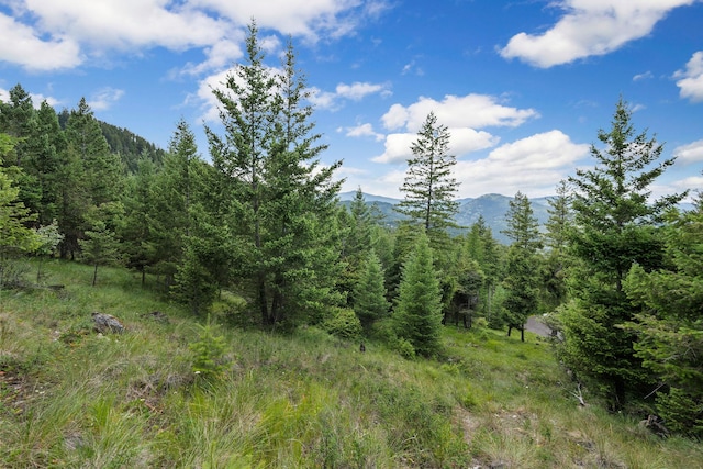45 Osprey Trl, Lakeside, MT 59922