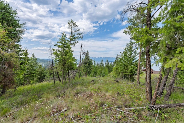 45 Osprey Trl, Lakeside, MT 59922
