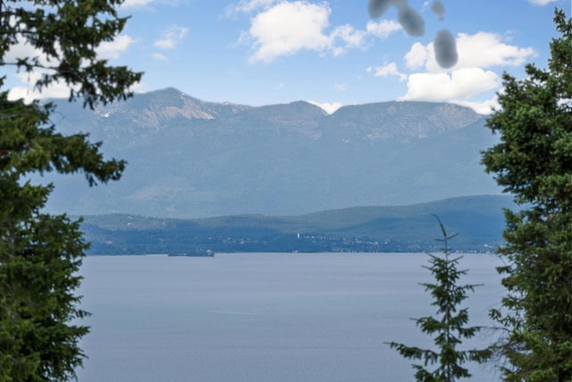 45 Osprey Trl, Lakeside, MT 59922
