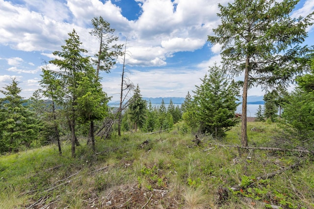 45 Osprey Trl, Lakeside, MT 59922