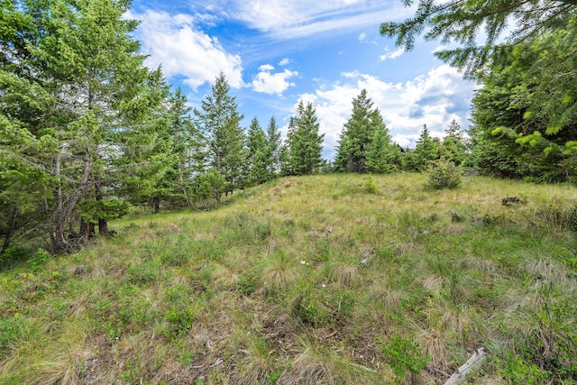 45 Osprey Trl, Lakeside, MT 59922