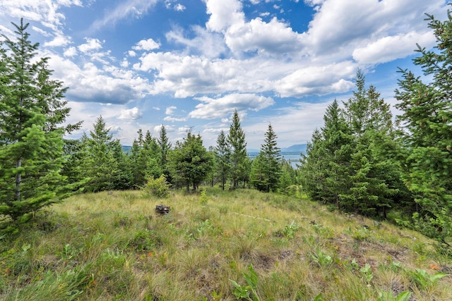45 Osprey Trl, Lakeside, MT 59922