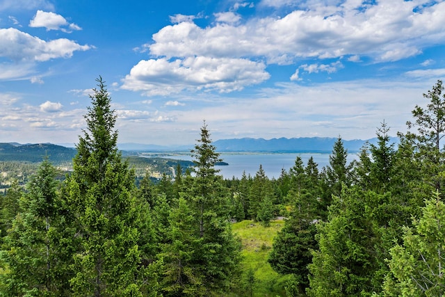 45 Osprey Trl, Lakeside, MT 59922