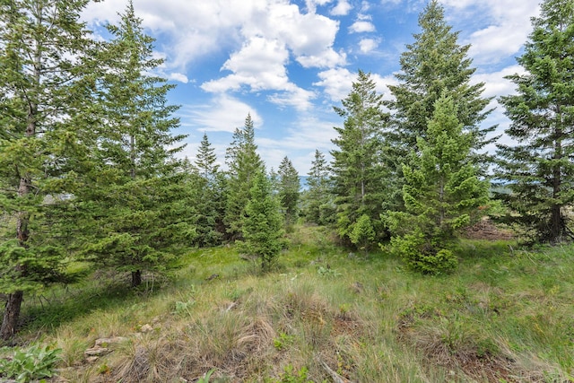 45 Osprey Trl, Lakeside, MT 59922