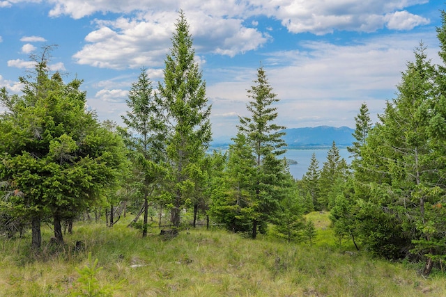 45 Osprey Trl, Lakeside, MT 59922