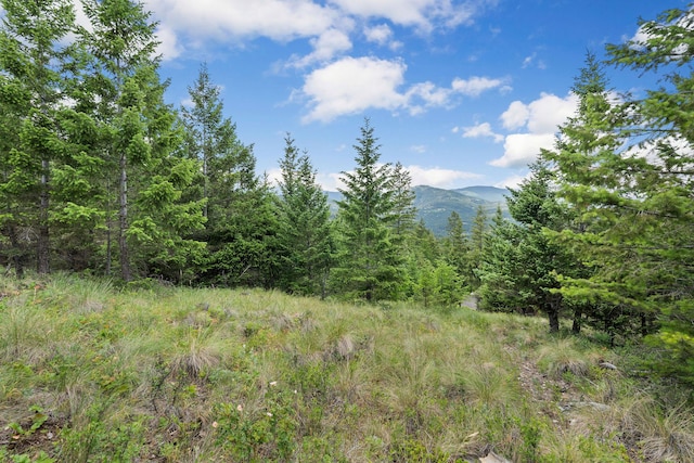 45 Osprey Trl, Lakeside, MT 59922