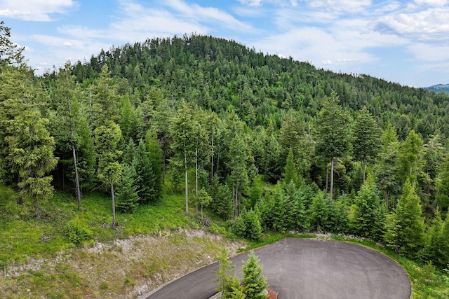 45 Osprey Trl, Lakeside, MT 59922