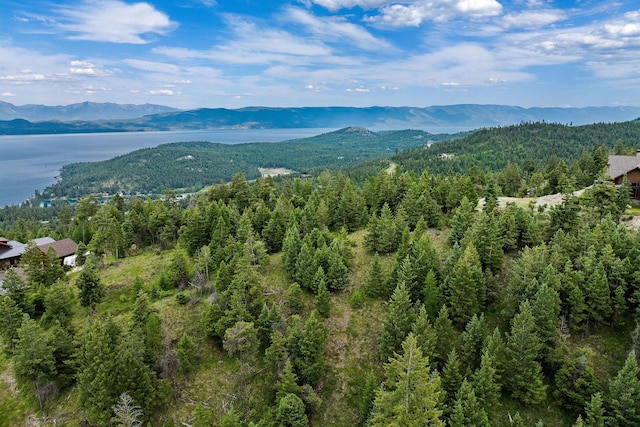 45 Osprey Trl, Lakeside, MT 59922