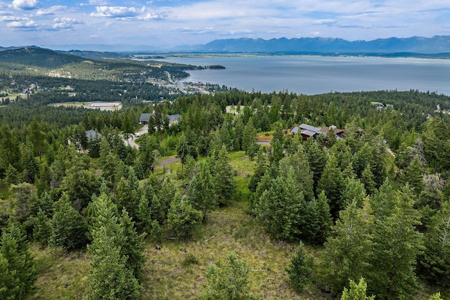 45 Osprey Trl, Lakeside, MT 59922