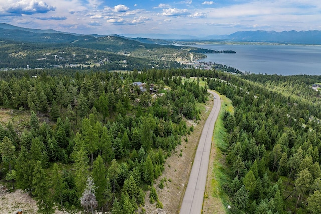 45 Osprey Trl, Lakeside, MT 59922