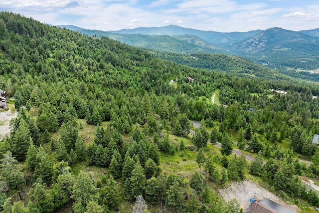 45 Osprey Trl, Lakeside, MT 59922