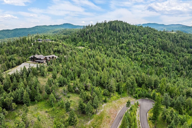 45 Osprey Trl, Lakeside, MT 59922