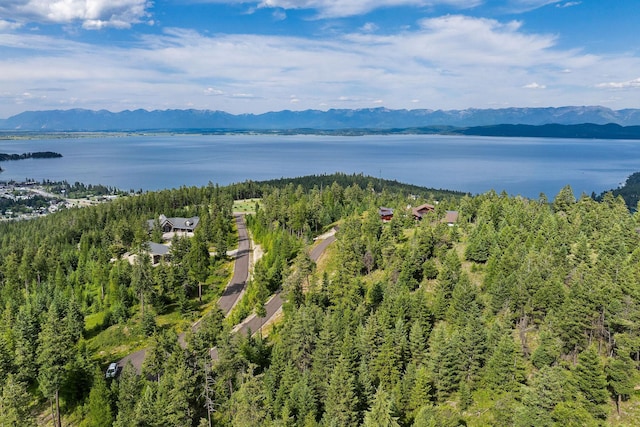 45 Osprey Trl, Lakeside, MT 59922