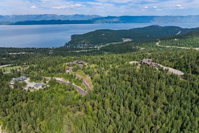 45 Osprey Trl, Lakeside, MT 59922