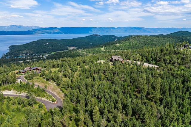 45 Osprey Trl, Lakeside, MT 59922