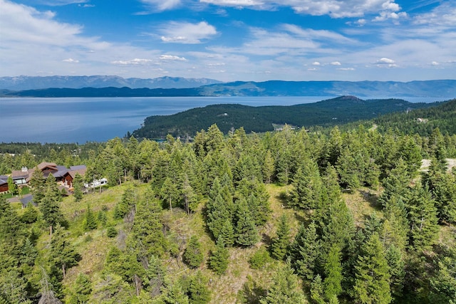 45 Osprey Trl, Lakeside, MT 59922
