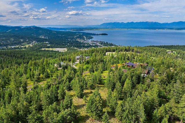 45 Osprey Trl, Lakeside, MT 59922