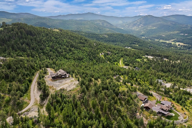 45 Osprey Trl, Lakeside, MT 59922
