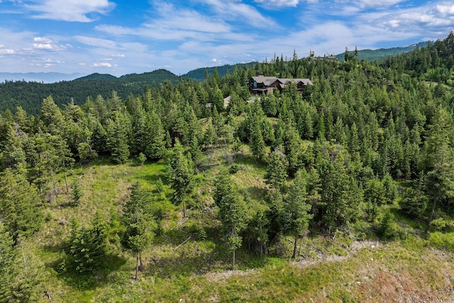 45 Osprey Trl, Lakeside, MT 59922