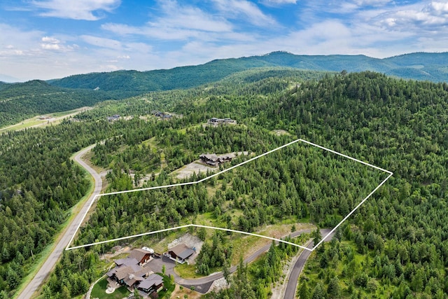 45 Osprey Trl, Lakeside, MT 59922