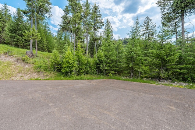45 Osprey Trl, Lakeside, MT 59922