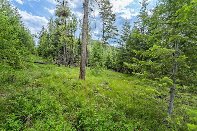 45 Osprey Trl, Lakeside, MT 59922