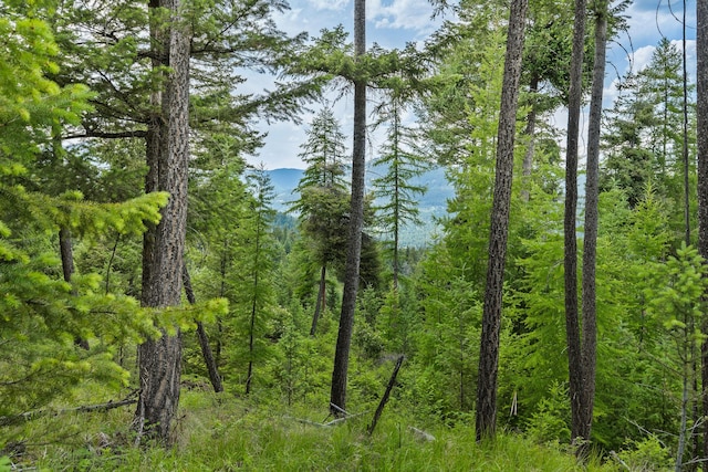 45 Osprey Trl, Lakeside, MT 59922