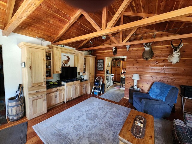 6570 Blossburg Rd, Canyon Creek, MT 59633 - living area featuring dark wood-style flooring, wooden ceiling, and wood walls