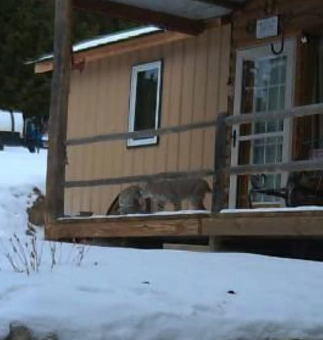 6570 Blossburg Rd, Canyon Creek, MT 59633 - view of snow covered exterior