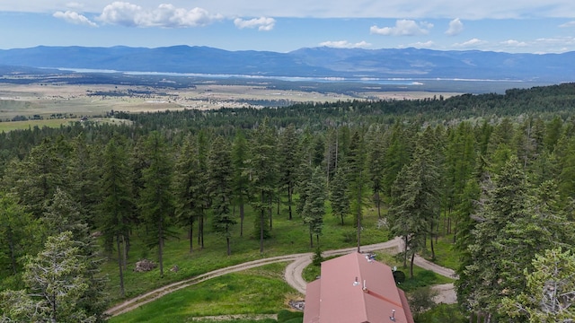 456 Gould Rd, Eureka, MT 59917 - bird's eye view of a mountainous background and a forest