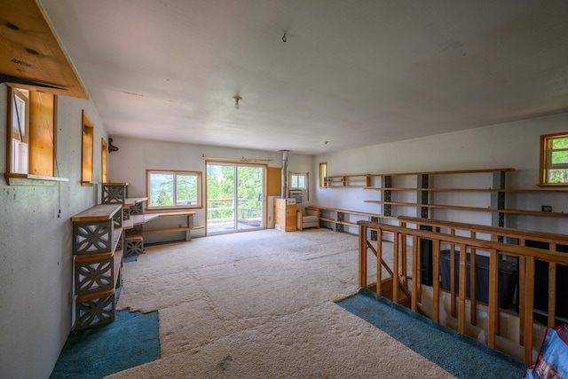 456 Gould Rd, Eureka, MT 59917 - miscellaneous room with carpet flooring and healthy amount of natural light