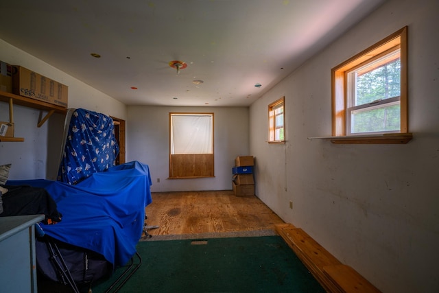 456 Gould Rd, Eureka, MT 59917 - washroom featuring carpet flooring