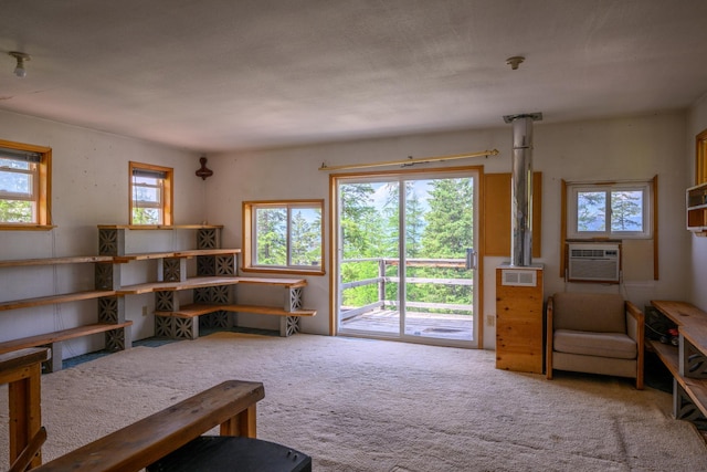 456 Gould Rd, Eureka, MT 59917 - living area featuring carpet floors and cooling unit