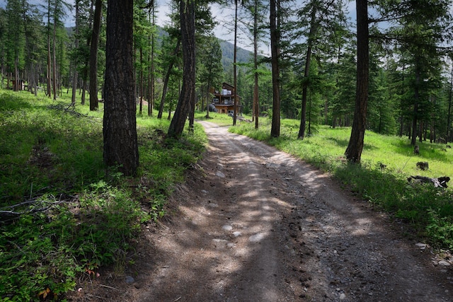 456 Gould Rd, Eureka, MT 59917 - view of dirt / gravel driveway featuring a view of trees and a mountain view