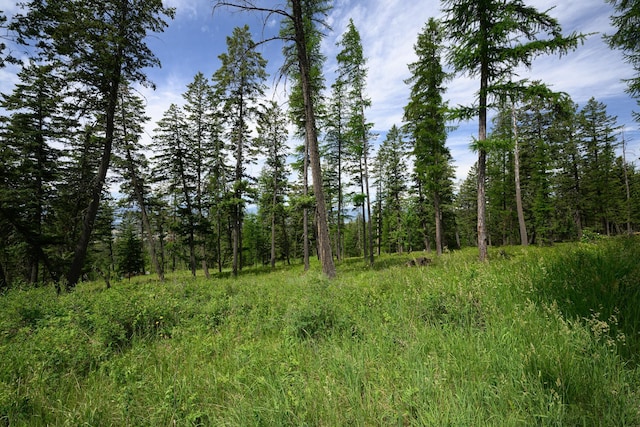456 Gould Rd, Eureka, MT 59917 - view of woods