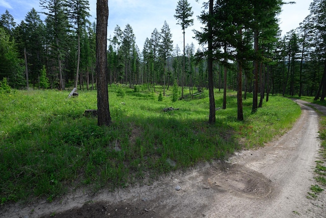 456 Gould Rd, Eureka, MT 59917 - view of street with a forest view