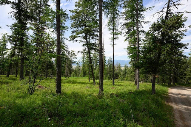 456 Gould Rd, Eureka, MT 59917 - view of tree filled area