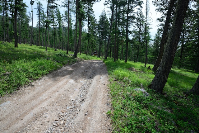 456 Gould Rd, Eureka, MT 59917 - view of dirt / gravel road with a wooded view