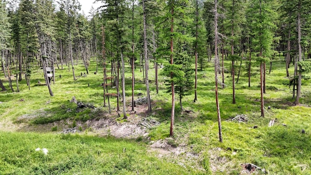 456 Gould Rd, Eureka, MT 59917 - view of tree filled area