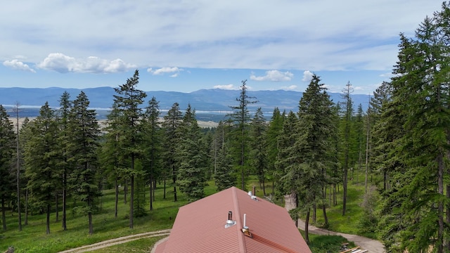 456 Gould Rd, Eureka, MT 59917 - mountain view with a heavily wooded area
